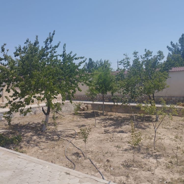 Navoiy viloyati Karmana tumani XAZORA KOTTEJ 4 xonali — 1