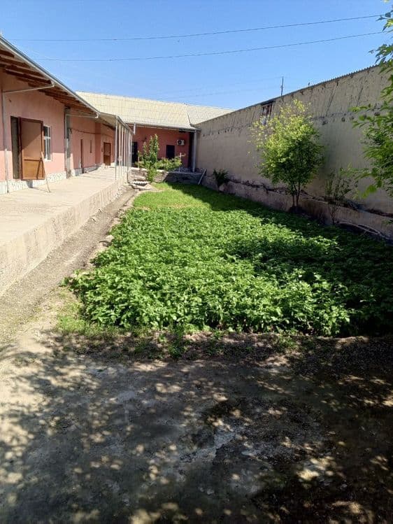 Hovli sotiladi Navbahor tumani karvon mahallasida — 4