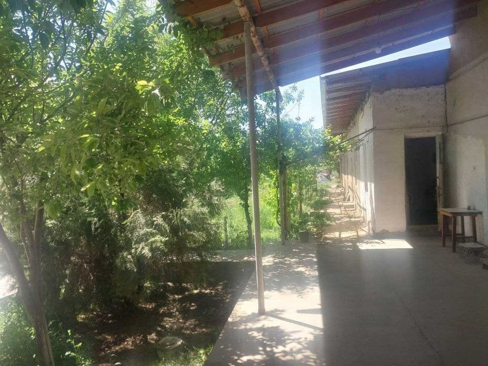 AZAMATdan tayyor yashash uchun hovli — 3