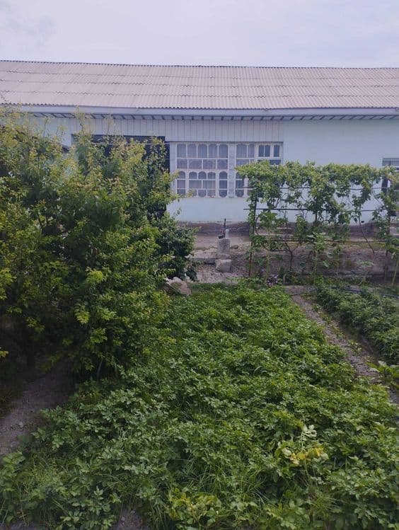 Xovli sotiladi, Xatirchida kelishilgan narxda (Navoiy viloyatida) — 1