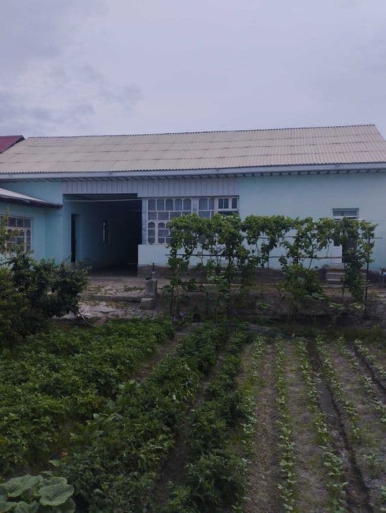 Xovli sotiladi, Xatirchida kelishilgan narxda (Navoiy viloyatida) — 3