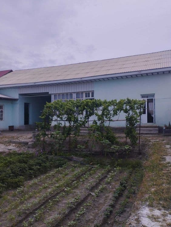 Xovli sotiladi, Xatirchida kelishilgan narxda (Navoiy viloyatida) — 4