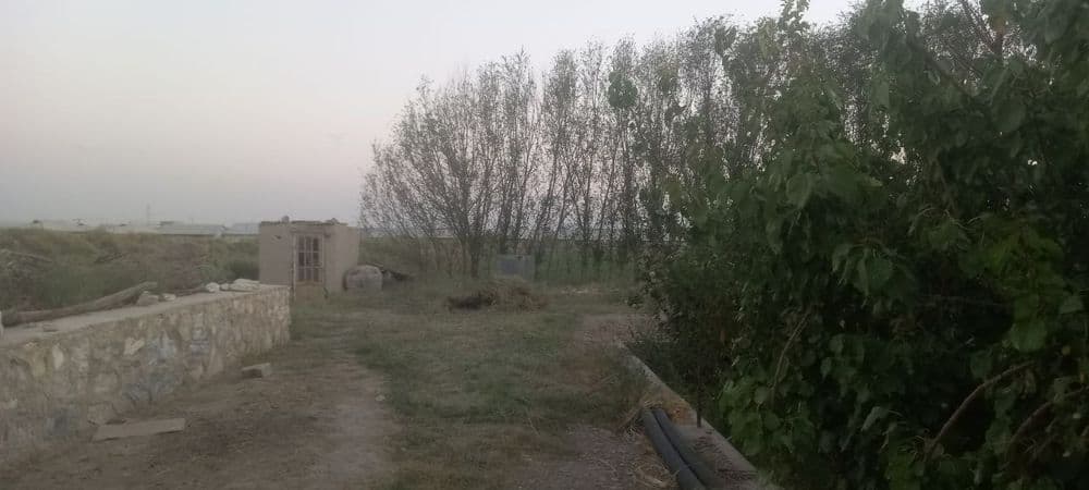 Hovli sotiladi Metan qishlogʻi yoʻlga yaqin — 6