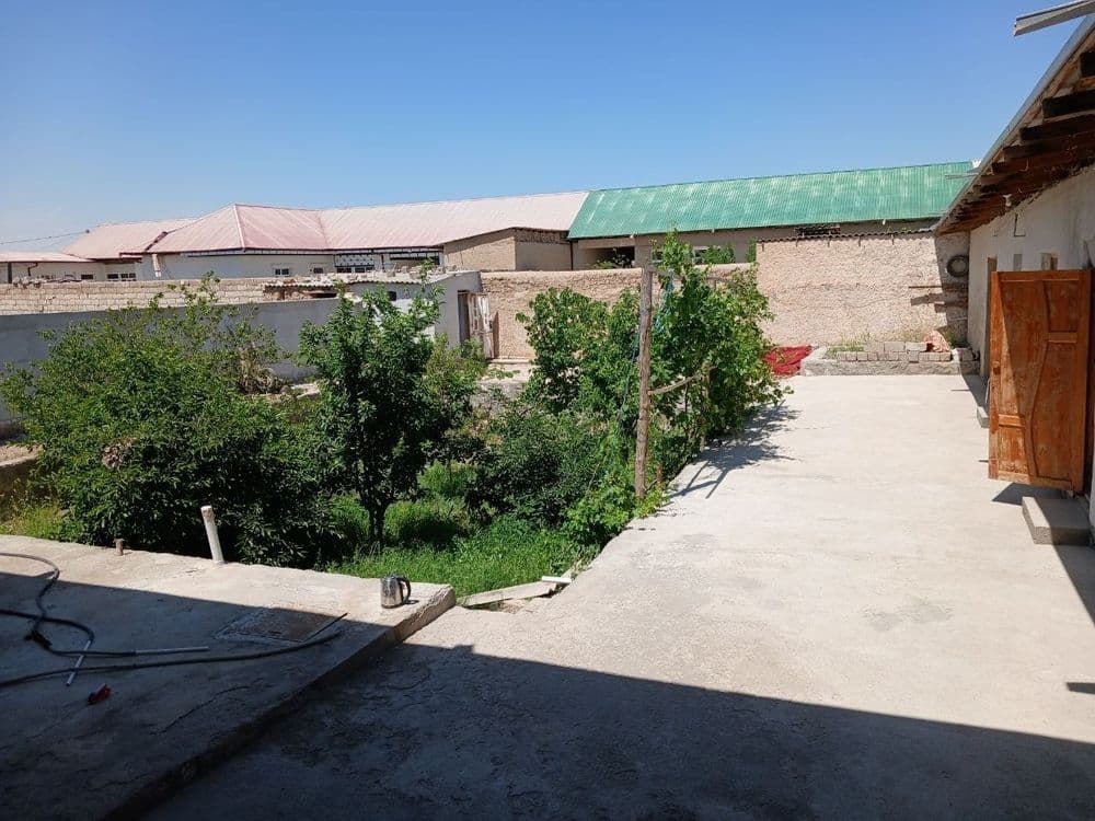Farxodda xovli sotiladi — 1