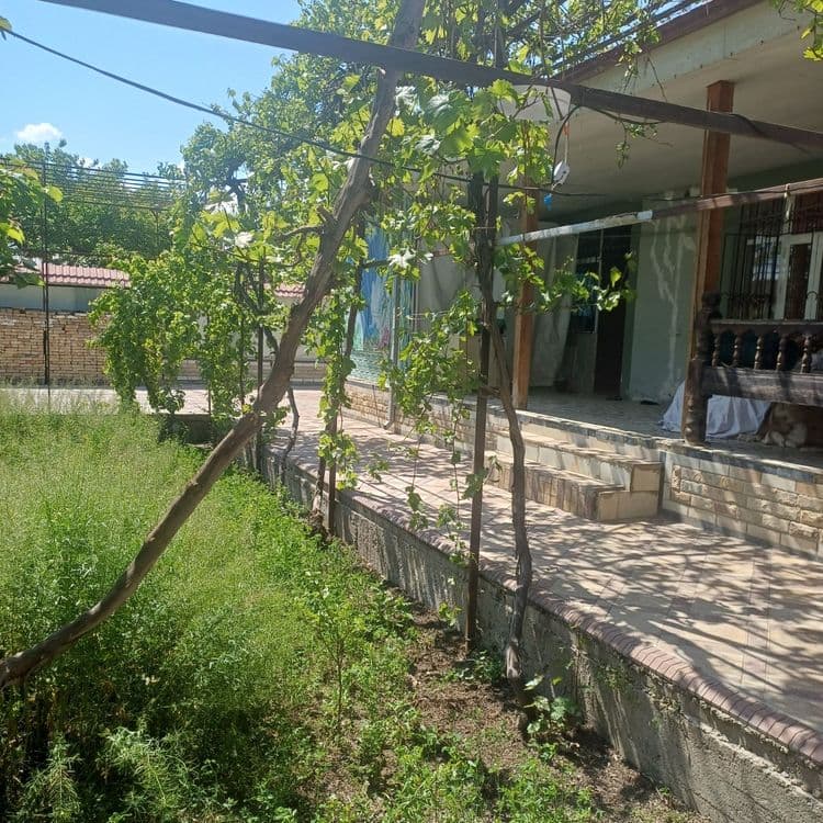 Котеж солтилади 6 сотих 105000$ ками бор — 4