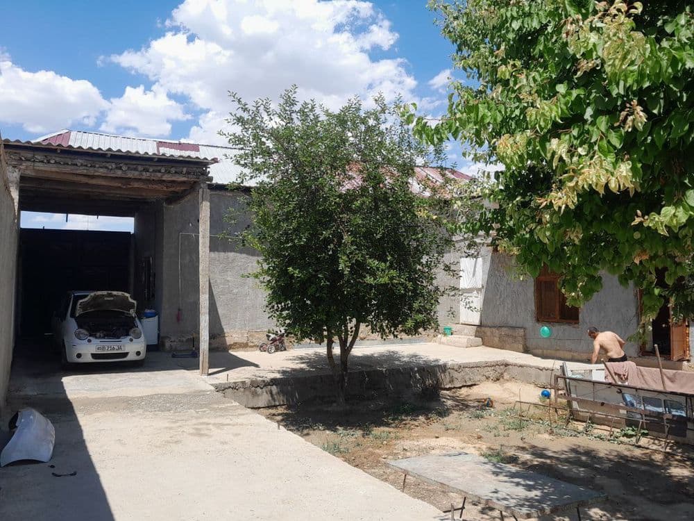 Xovli sotiladi ped kolleji oldida — 3