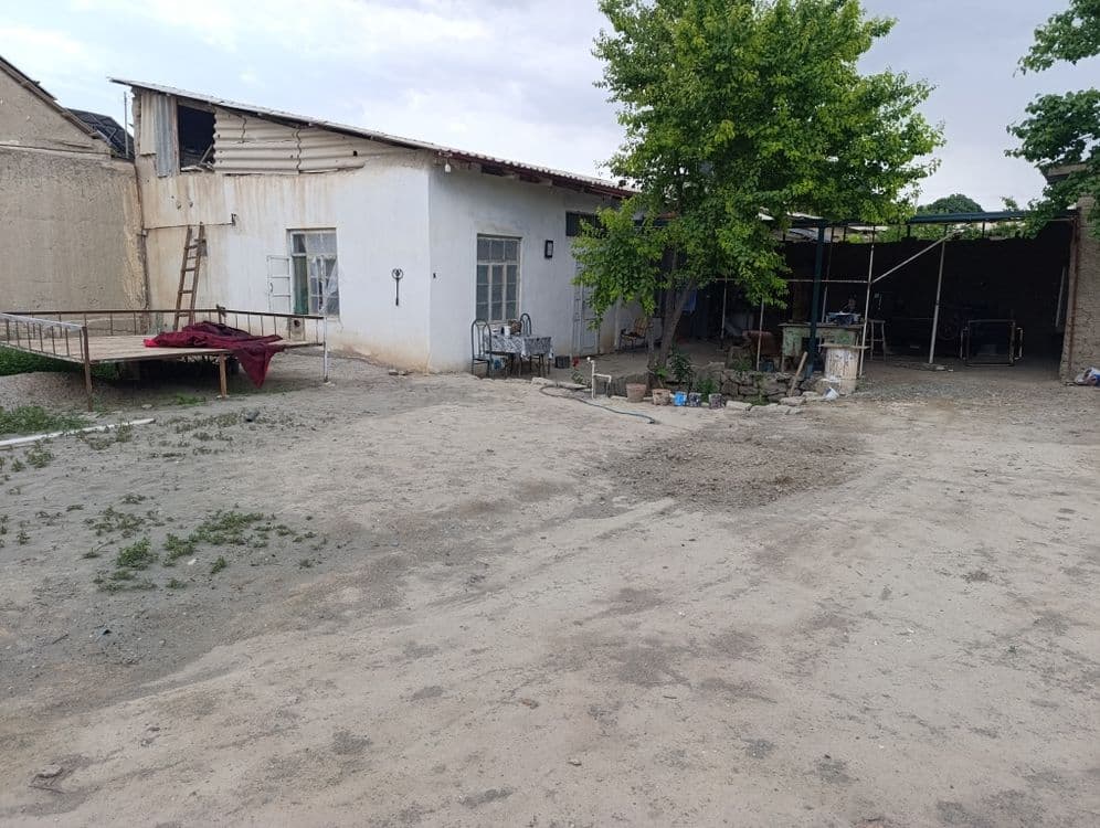 Gulistonni povorotidan kirgandan hovli — 1
