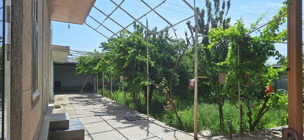 Umid Oftobjon lager pavarotidan kiraverishda hovli sotiladi — 2