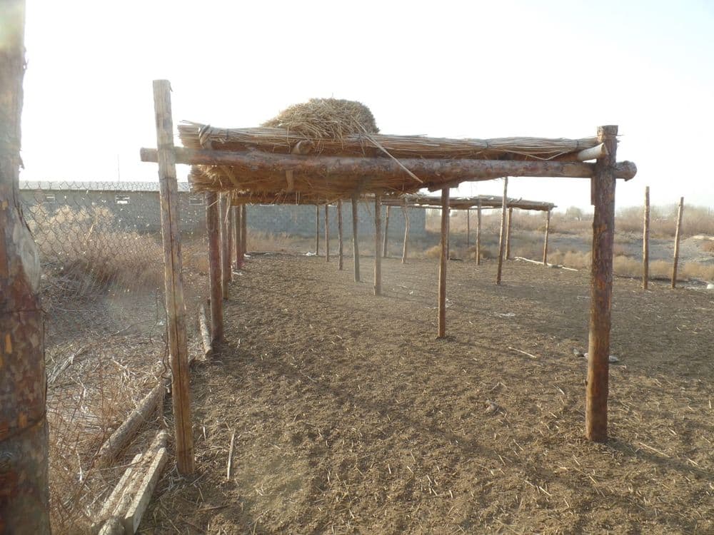 Fermer xojaligi satiladi — 5