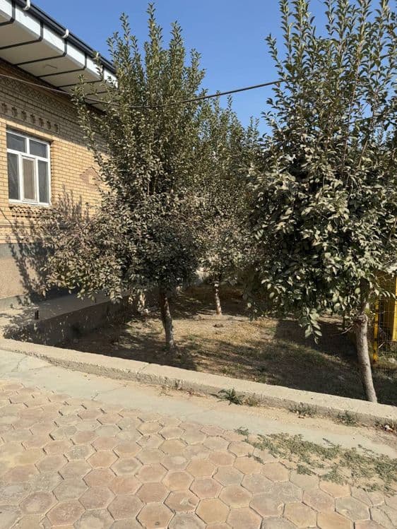 Ҳовли сотилади. 12 сотих — 2
