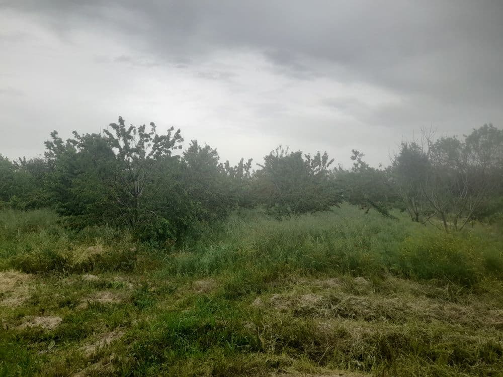 Urgut tuman, Kenagas mfy, 523 A-uy — 1