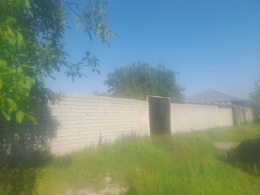 Urgut tuman, Kenagas mfy, 523 A-uy — 2