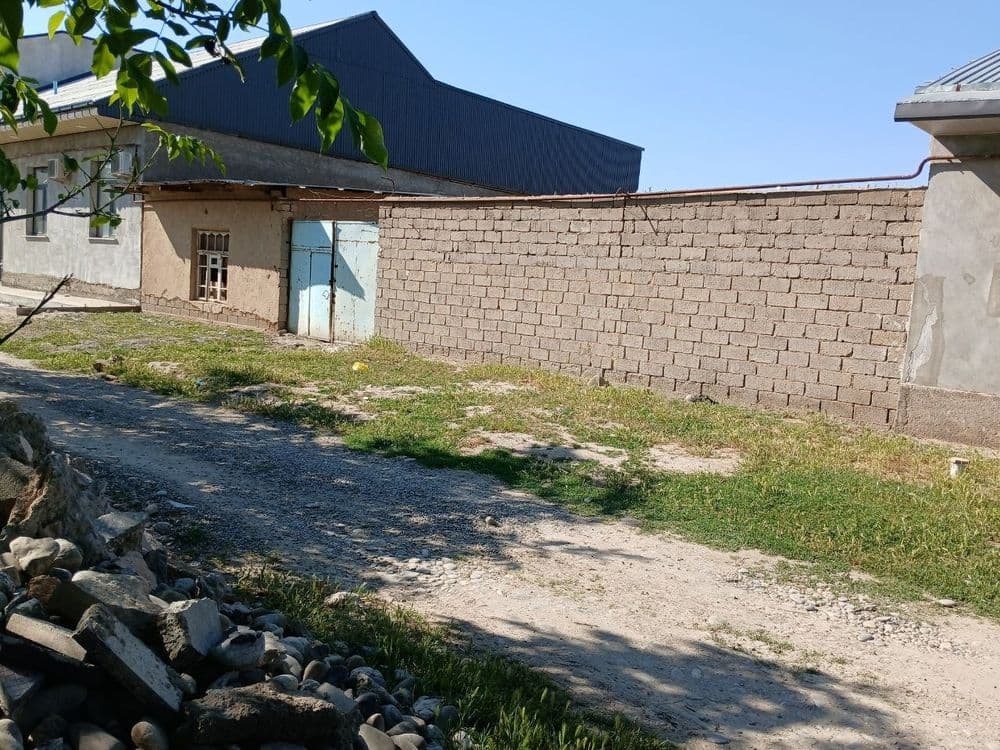 Nayman Jayhun baliqni orqasida 6 sotixli hovli sotiladi — 1