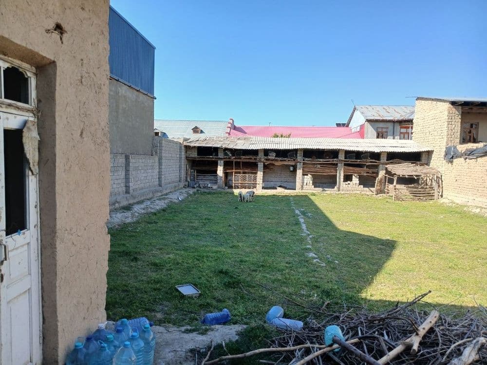 Nayman Jayhun baliqni orqasida 6 sotixli hovli sotiladi — 3