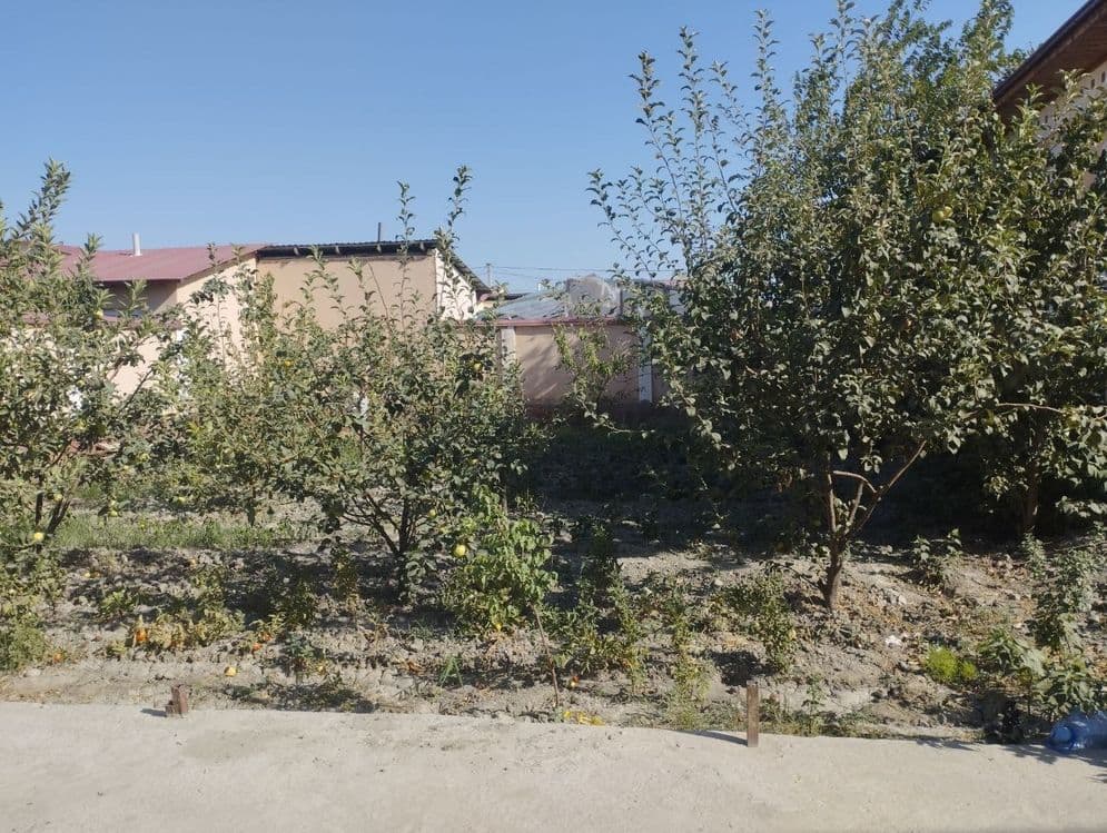 Katej 6 sotiq samarqand — 2