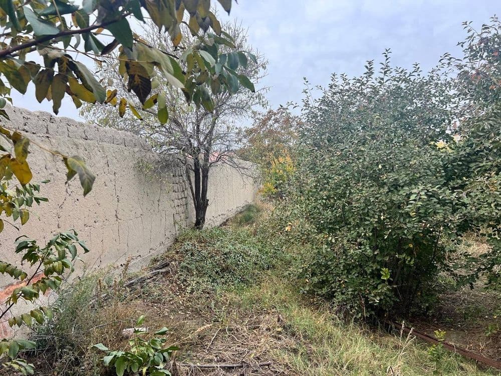 Hovli, uchastka sotiladi — 3