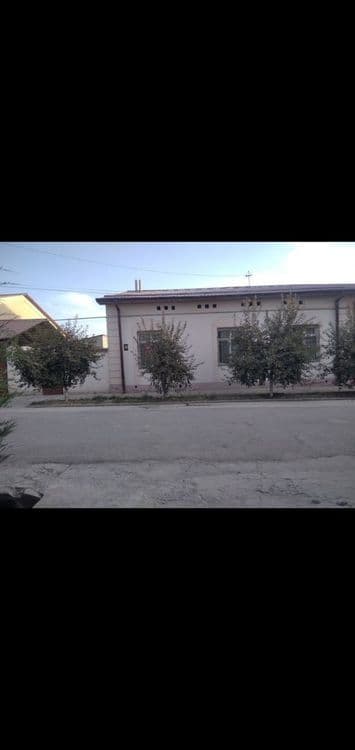 Kattej sotiladi 6 sotix — 2