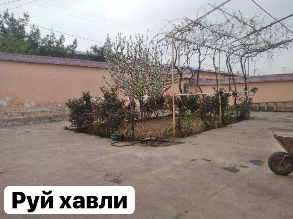 Коттедж янги хаёт сельский — 3