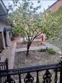 N.Зудлик  билан  катта ховли сотувда!!!