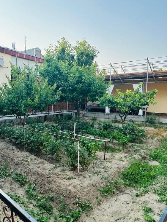 Hovli sotiladi uzbekistanskayada — 3