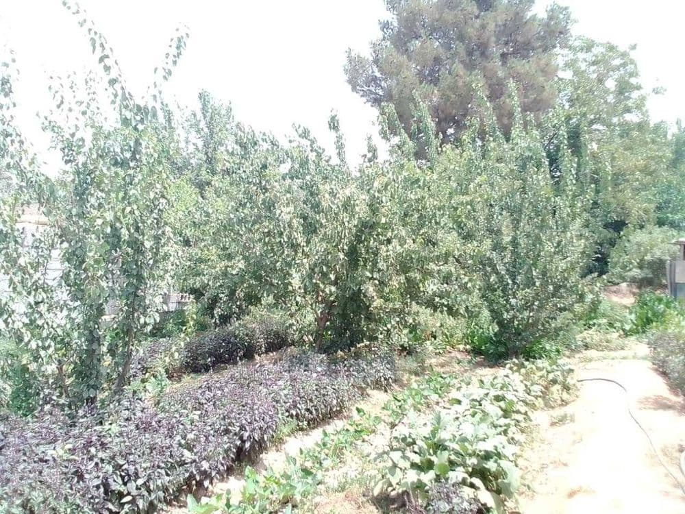Xovli uy sotiladi — 5