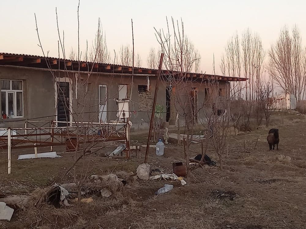 Zarbdor  20 sotixli xovli uy sotiladi — 8