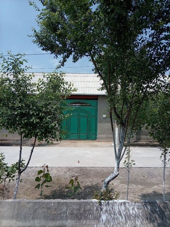 Guliston shaxar markazidan hovli uy — 1