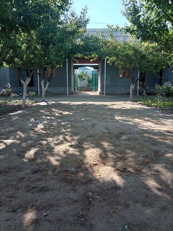Guliston shaxar markazidan hovli uy — 4