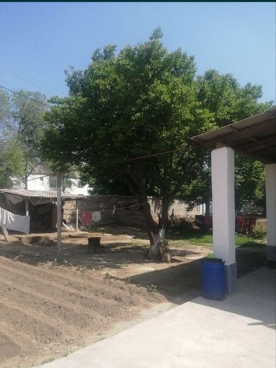 Uy sotiladi. Sirdaryo tumani Sholikor MFY Maktab yonida — 4