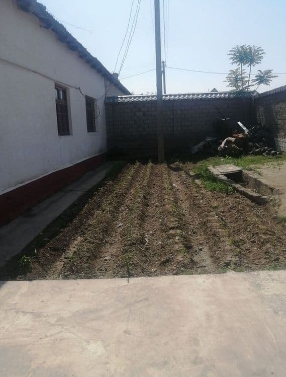 Uy sotiladi. Sirdaryo tumani Sholikor MFY Maktab yonida — 5