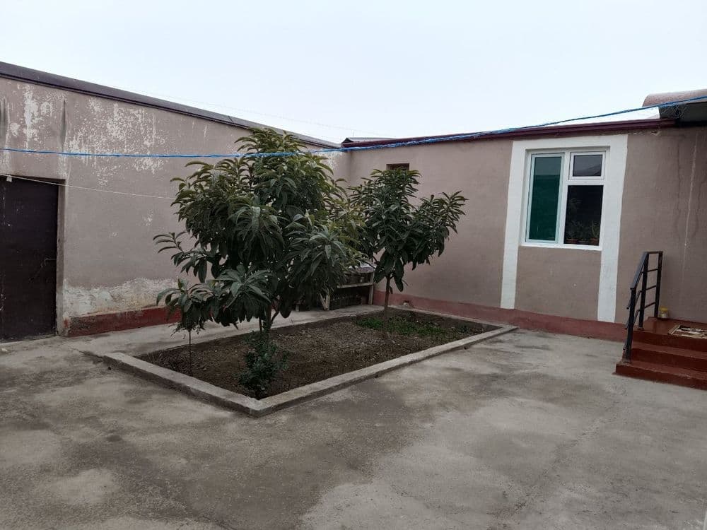 Kotedj 2 sotixlik Mindonobod — 4