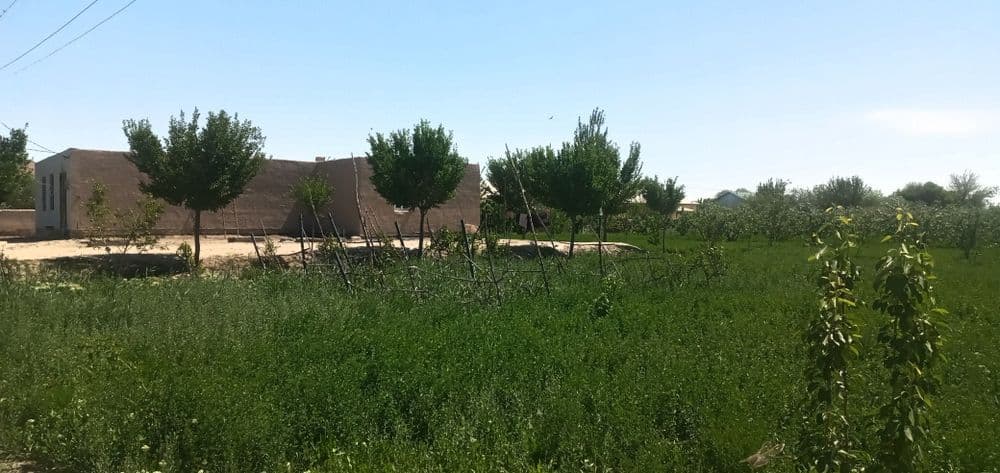 Uy Sotiladi !!! Narxi 800 miliyon kelishiladi — 2