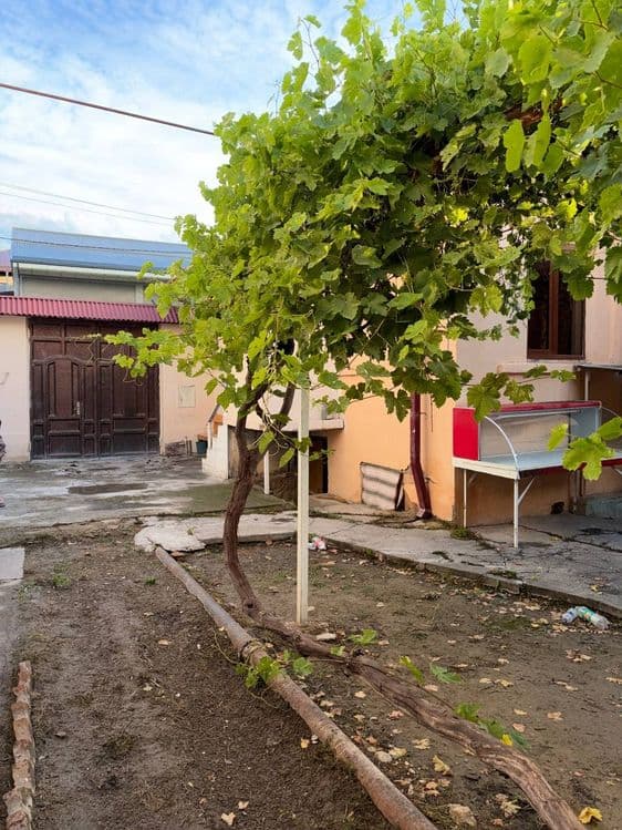 Semya ijoraga quyamiza er xotinlarni xovli kata sharoiti zur wifi bor — 3