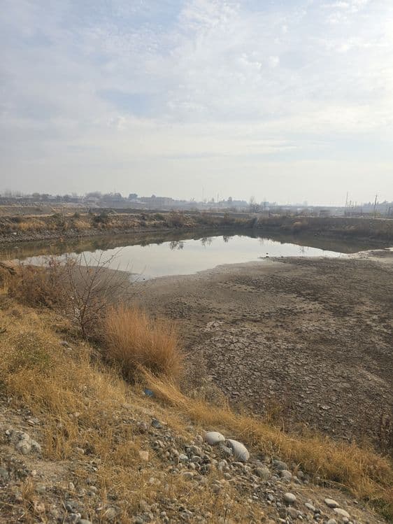Ijara ko'l beriladi hamma sharoiti bor — 3