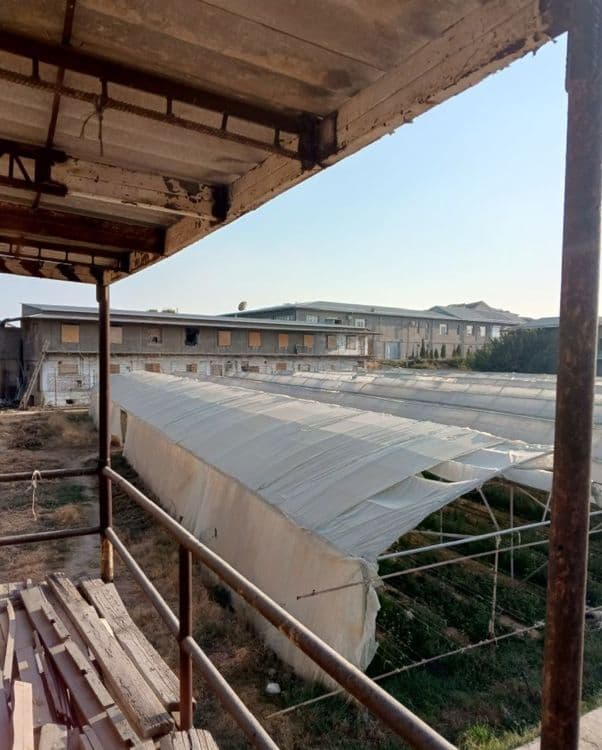 ferma arendaga beriladi — 2