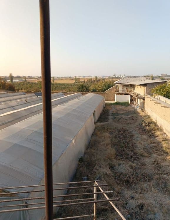 ferma arendaga beriladi — 3
