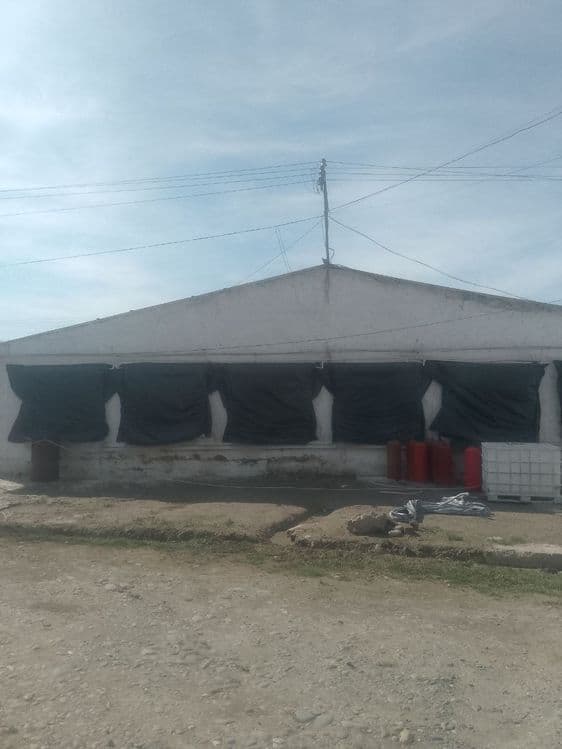 Broller Tovuq boqish uchun Tovuq hona Ijaraga beriladi — 4