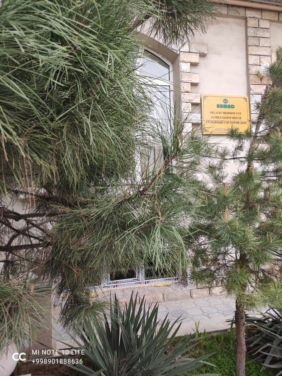 Хостел Hostel Гостиница Мехмонхона Mehmonhona Квартира Посуточно Ижара — 8