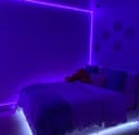 Hotel Tashkent / Hostel / Mehmonxona Toshkent / Мехмонхона отель