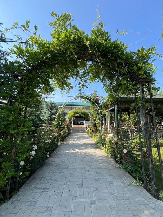 Dacha Manzara oqtosh 30 sotix darahzor — 1