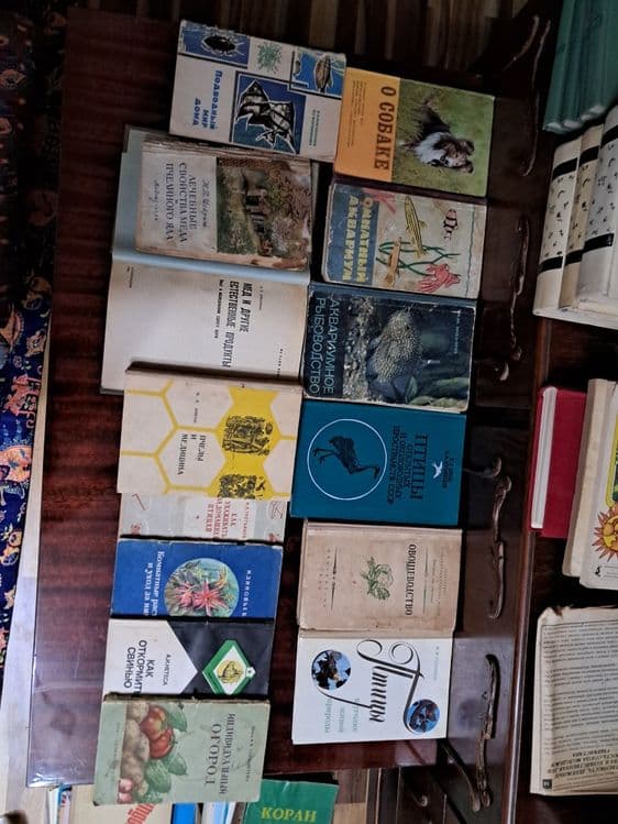 Книги на разную тематику — 4