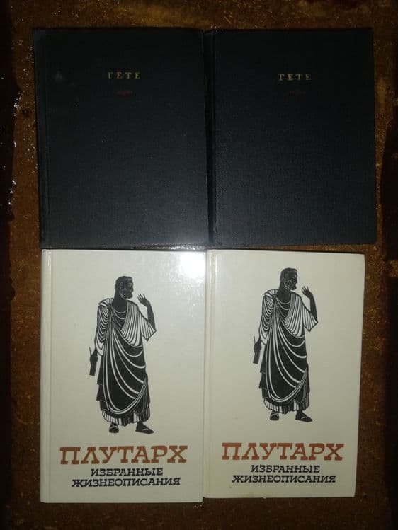 Поэзия  и проза. — 2