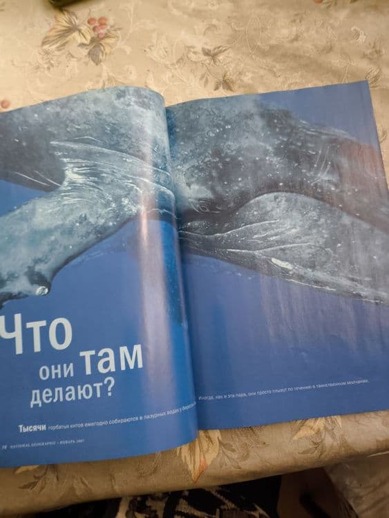 Журнал Nation geographic — 5
