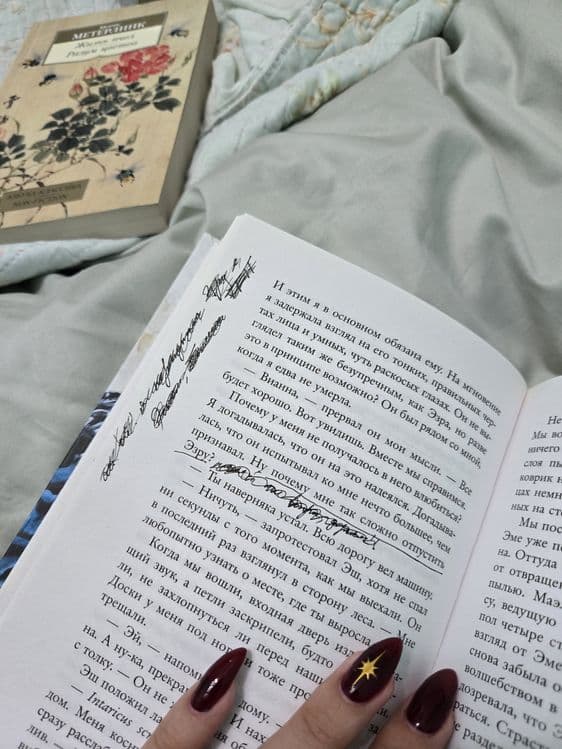 Книга Сестра Звезд Мара Вульф — 3