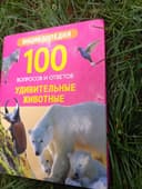 Энциклопедия, от которой не оторваться! (Для юных исследователей