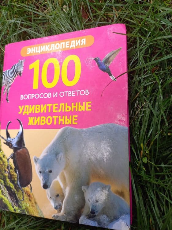 Энциклопедия, от которой не оторваться! (Для юных исследователей — 1