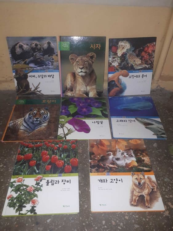 Познавательные обучающие книги на корейском языке — 2
