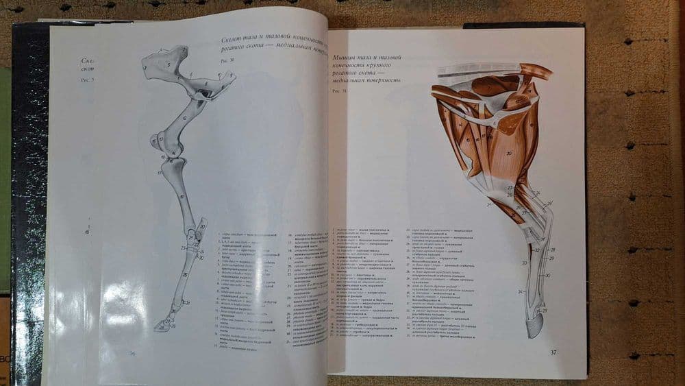 Книга, атласы заповедники,разное. — 8