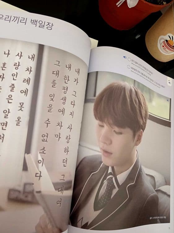 BTS, книга, корейский язык, Korean wave — 3