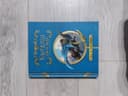 Книга гарри поттер квидичь